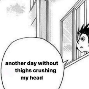 Meet your Posher, Moonbesour